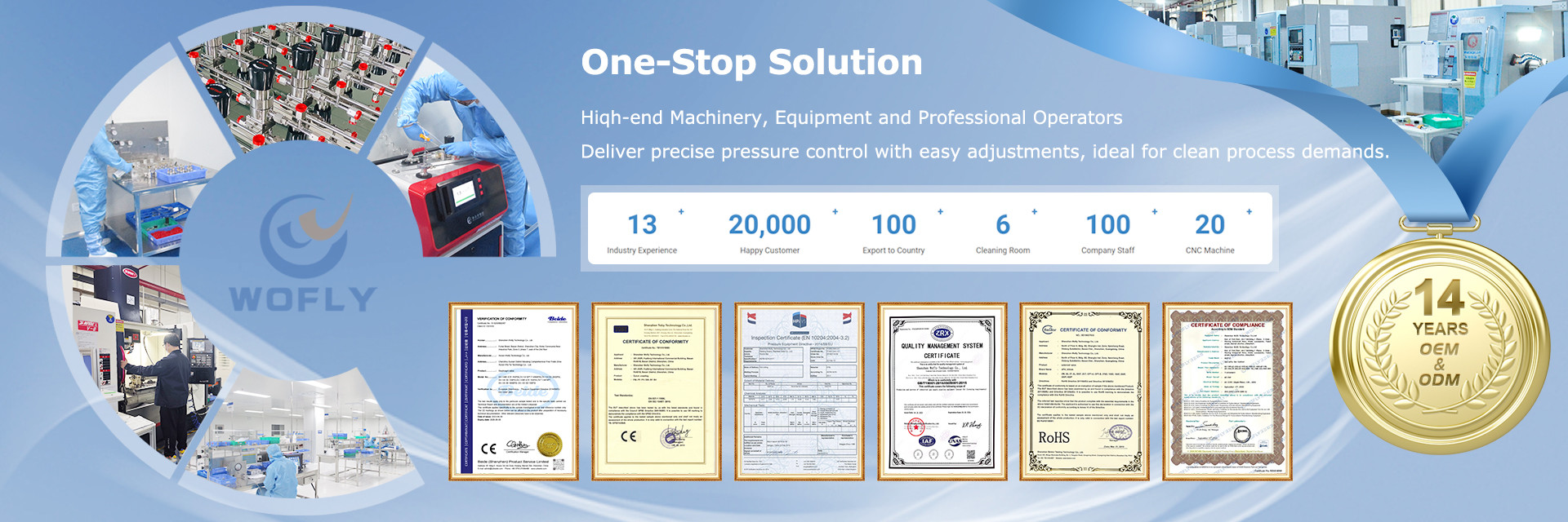 QUALITÀ Regolatore di pressione dell'acciaio inossidabile fabbrica