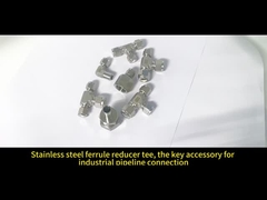 Fittings di tubi in acciaio inossidabile con connessione ferrule durevole con certificazione CE ISO9001